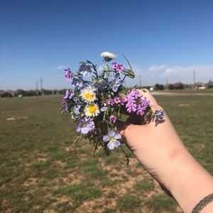 Meet your Posher, Kelsey